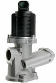 EGR VALVE - TENDA 20095